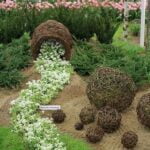 Fencing Ideas for Vegetable Gardens Creative and Practical Fencing Ideas for Vegetable Gardens