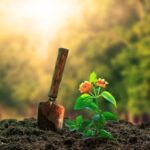 Creative balcony container gardening ideas for small spaces with beautiful plant arrangements