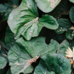 Easy Gardening Ideas Easy gardening ideas: container gardening, raised beds, low-maintenance plants.