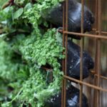 Gardening Silent Auction Basket Ideas Gardening Silent Auction Basket Ideas: Tools, Seeds, Gloves, Books, and More for Green-Thumbed Enthusiasts