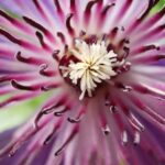 Ideas for Sloping Front Gardens Ideas for sloping front gardens: Steps, terraces, and native plants for stunning landscaping