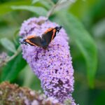 Gardening Raffle Basket Ideas Colorful flowers, tools, and seeds make for great gardening raffle basket ideas