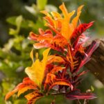 Indoor Gardening Ideas Creative Indoor Gardening Ideas: How to Grow Beautiful Plants Inside Your Home