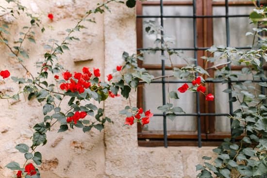 Prayer Gardens Ideas 1 Discover serene pathways and lush landscapes for prayer gardens ideas