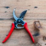 Herb gardening ideas: How to cultivate a thriving herb garden with limited space and resources