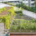 Hanging Gardens of Babylon Project Ideas Hanging Gardens of Babylon project ideas: Vertical garden designs, DIY hanging planter installations, green space innovation