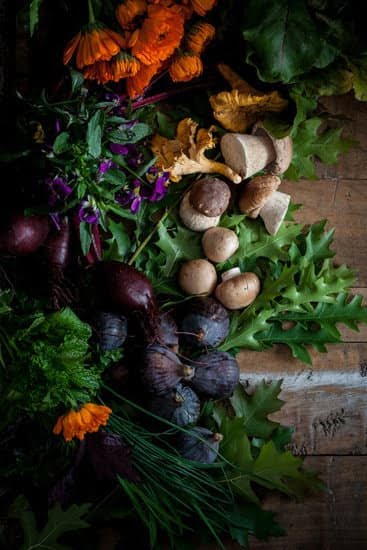 Gift Ideas for a Gardening Mom 5 Beautiful planters, gardening tools, and outdoor decor: perfect gift ideas for a gardening mom