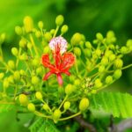 Gardening Ideas for a Small Space Small space gardening tips: maximize vertical space, container gardening, and compact plant varieties. ð±ð· #GardeningIdeas