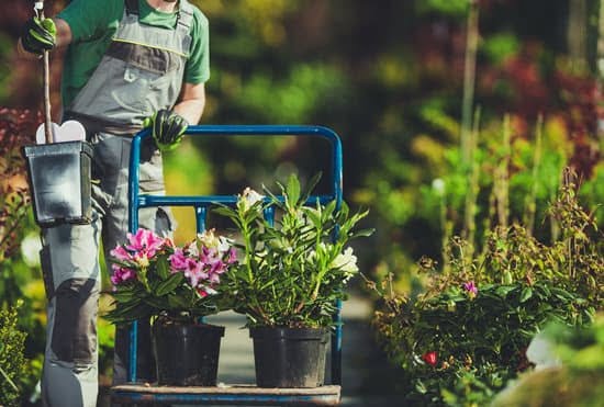 Flower Bed Ideas for Small Gardens 1 Creative flower bed arrangements for small gardens with big impact. FLOWER BED IDEAS FOR SMALL GARDENS