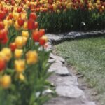 Container Gardening Landscaping Ideas Vibrant and space-efficient container gardening landscaping ideas perfect for small spaces