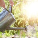 Explore unique gardening ideas for stunning landscapes and creative outdoor spaces