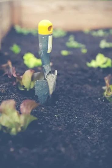 Transform your outdoor space with these inspiring woodland gardening ideas