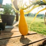 Gardening Ideas for Kids Fun and creative gardening ideas for kids to enjoy nature and learn about plants and flowers