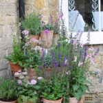Patio Gardening Ideas Patio Gardening Ideas: Small-space planters, vertical gardens, and creative container gardening tips