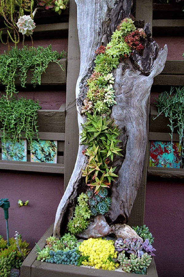 Explore creative eggplant gardening ideas for your home garden