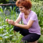 Gardening Outdoor Ideas Explore creative gardening outdoor ideas for your backyard oasis with our expert tips and inspiration