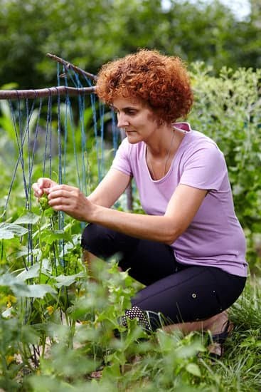 Explore creative gardening outdoor ideas for your backyard oasis with our expert tips and inspiration