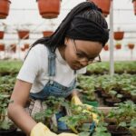 Ideas for Medium Sized Gardens - Landscape inspiration: Ideas for medium-sized gardens