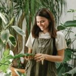 Gardening Ideas Images Explore creative gardening ideas images for inspiration and design tips