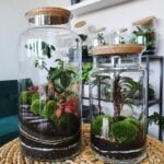 Herb Gardens Ideas Creative herb garden designs for your inspiration: HERB GARDENS IDEAS