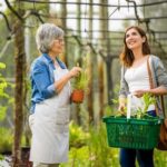 Raised Pond Ideas for Small Gardens Raised pond design for compact garden spaces: Inspiration and ideas for small gardens