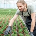 Unique and Useful Gifts for Gardeners: IDEAS FOR GARDENERS PRESENTS