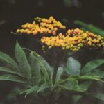 Patio Container Gardening Ideas Patio Container Gardening Ideas: Creative ways to grow beautiful plants in small outdoor spaces