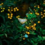 Gift Ideas for Gardener Unique and practical gift ideas for gardener: tools, plants, and personalized garden accessories
