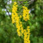 Transform small spaces with these inspiring garden pond ideas for small gardens