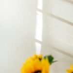 Creative greenhouse gardening ideas: innovative designs, sustainable practices, and vibrant plants for an eco-friendly oasis