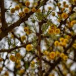 Landscaping inspiration for side of house: creative gardening ideas