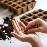 Transform your outdoor space with creative Gardening Yard Ideas - from simple landscapes to stunning flower gardens