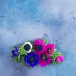 Low Maintenance Plant Combination Ideas for Container Gardens Low Maintenance Plant Combination Ideas for Container Gardens: Drought-Resistant Succulents and Herbs