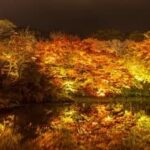 Small space container gardening: innovative ideas for urban living