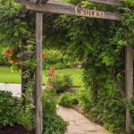 Back Yard Gardening Ideas Backyard gardening ideas: small space container gardening, vertical gardening for beginners, easy vegetable gardening tips