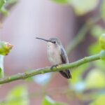 Compact water feature ideas for small gardens: creative options for limited outdoor space