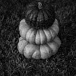 Gift Ideas for Gardeners Dad Garden-inspired tools and plants for Dad's green thumb – perfect gift ideas for gardeners Dad