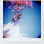 Raised Gardening Ideas Raised Garden Bed Designs: Unique and Creative Ideas for Your Gardening