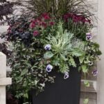 Cheap Gardening Ideas Affordable garden hacks: CHEAP GARDENING IDEAS for a beautiful, budget-friendly outdoor space