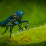 Christmas Gardening Ideas Brighten your holiday with these Christmas gardening ideas for a festive and nature-inspired celebration