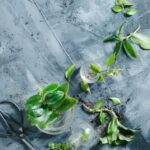 Gardening Basket Gift Ideas Beautiful gardening basket gift ideas with tools, seeds, and gloves for green thumbs