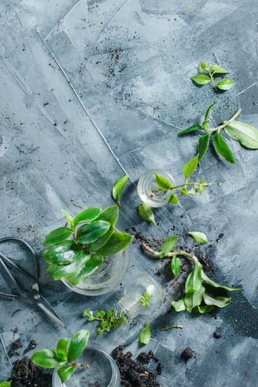 Gardening Basket Gift Ideas 3 Beautiful gardening basket gift ideas with tools, seeds, and gloves for green thumbs