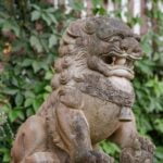 Pallet Ideas for Gardens Creative Pallet Ideas for Gardens: Upcycling for Natural Beauty