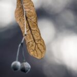 Explore creative gardening corner ideas for your outdoor space