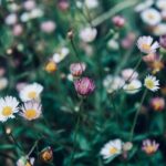 BETTER HOMES AND GARDENS LAUNDRY ROOM IDEAS: Functional and Stylish Design Inspiration