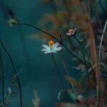 Better Homes and Gardens Flower Bed Ideas Beautiful and Creative Better Homes and Gardens Flower Bed Ideas for Your Next Garden Project