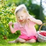 Planting Ideas for Small Gardens Creative container gardening with flowers, herbs, and vegetables for limited spaces