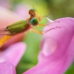 Gardens Ideas for Backyard Discover inspiring garden ideas for backyard landscaping with GARDENS IDEAS FOR BACKYARD