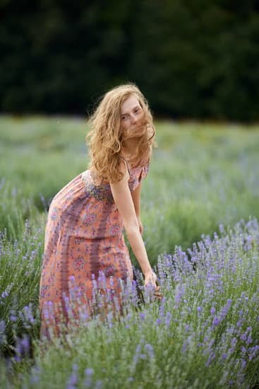 Explore stunning homes and gardens ideas showcasing beauty and creativity for inspiration