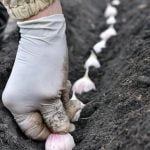 Creative gardening basket ideas for a blooming and bountiful garden - GARDENING BASKETS IDEAS